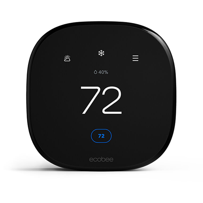 Google ecobee shop